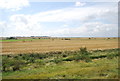 TQ9296 : Farmland in the Crouch Valley by N Chadwick