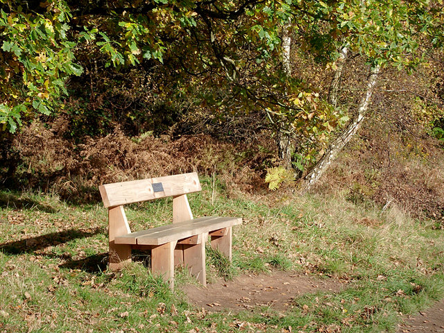 A commemorative bench on Highgate Common, Staffordshire