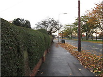TA1430 : Preston Road, East Hull by Ian S