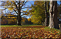 Parkland at Thorp Perrow