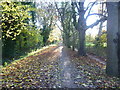 Path across Malden Golf Course