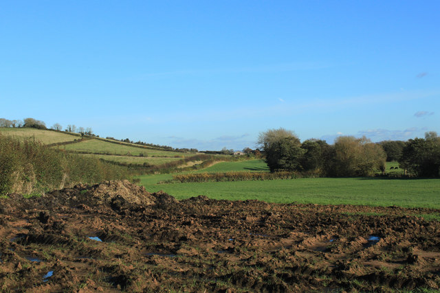2012 : Combo muck heap and mud pile