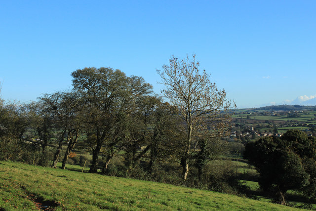 2012 : South east from a stile on Norton Lane