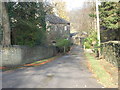 Driveway to Giles House - Newton Park