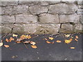 Benchmark on a wall beside Bannister Lane