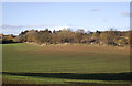 SO8392 : Crop field near Halfpenny Green, Staffordshire by Roger  Kidd