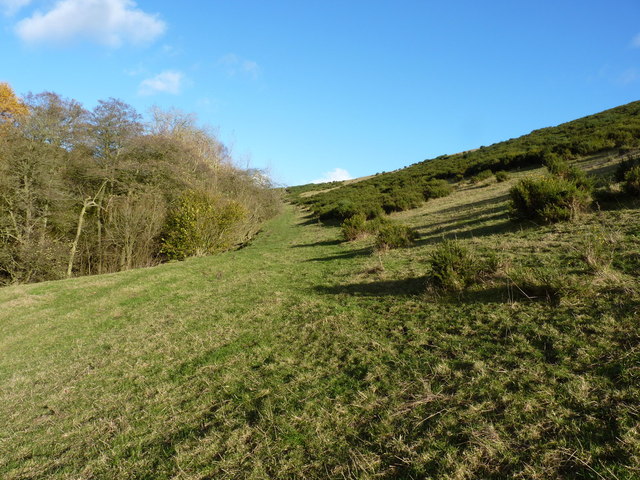 Footpath in the valley of the Rowley Brook