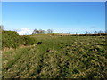 Emerging from the Rowley Brook valley