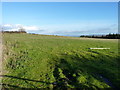 A field above Haywood Farm