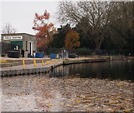 SK5438 : Nottingham, NG7 - Highfields Park Lake by David Hallam-Jones