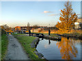 Ashton Canal, Lock 15 (Clayton)