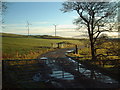 Crofthead Turbines from the west