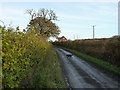 The lane below Forest Farm