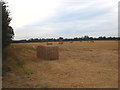 Straw bales in a field in Church Lane