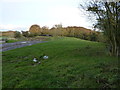 A slurry silo beside Broomhill Wood