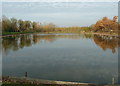 Linnet Pool at Meadow View Fisheries