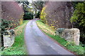 Small bridge on the lane to Abbey Farm