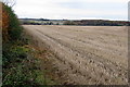 Looking over the stubble field toward Olney Hyde