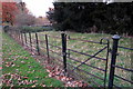 Iron gate into a tiny paddock