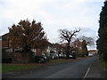 Oaks on Canley Road