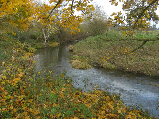 River Yeo in late autumn