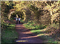 South Staffordshire Railway Walk at Wombourne