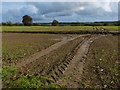 Tyre tracks across the fields