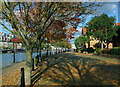 Autumn comes to Baltic Wharf, Bristol