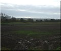 Farmland off Bishopton Lane