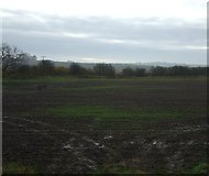 NZ3318 : Farmland off Bishopton Lane by JThomas