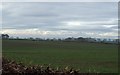 Farmland, Hauxley Farm