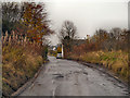 Werneth Low Road