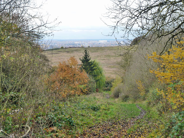 Descending from Lippitts Hill © Robin Webster cc-by-sa/2.0 :: Geograph ...