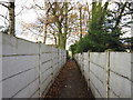 A path towards Common Lane, Royston