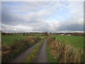 A track leading to Common Lane, Royston