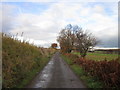 Common Lane, Royston