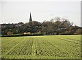 The Church Spire stands out