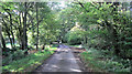 Wakestone Lane south of the A272