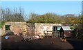 Pigs and poultry in muddy compound in Ulley