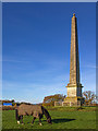 SP1471 : Umberslade Obelisk by David P Howard