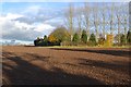 Ploughed Field