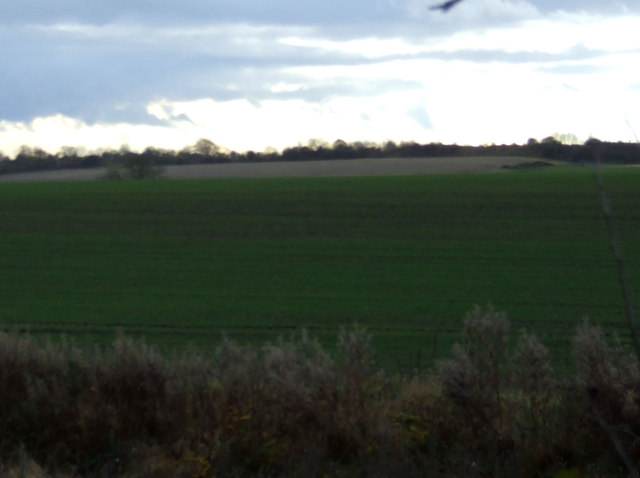Farmland off the A177