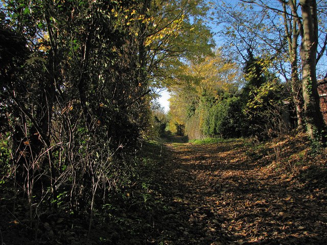 Path to Ickleton Windmill
