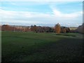 Fairways at Chesterfield Golf Club