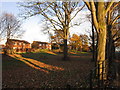 The beer garden at the  Goose and Cowslip, Crofton