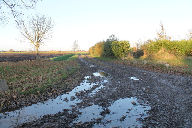 Muddy track off Frampton Roads