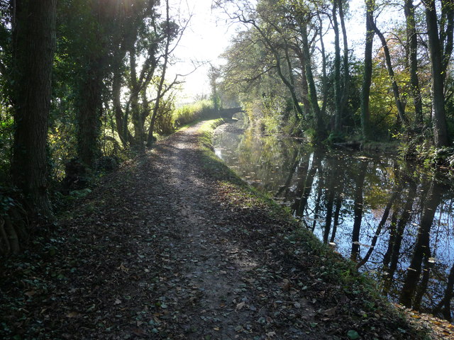 Part of the Mon. & Brec. Canal near Mamhilad