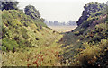 Trackbed of Caledonian Railway at Almondbank, 1991