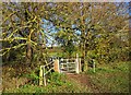 Gate to footbridge over a brook, near Northwick, Worcester