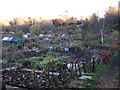 Allotments off Margery Lane